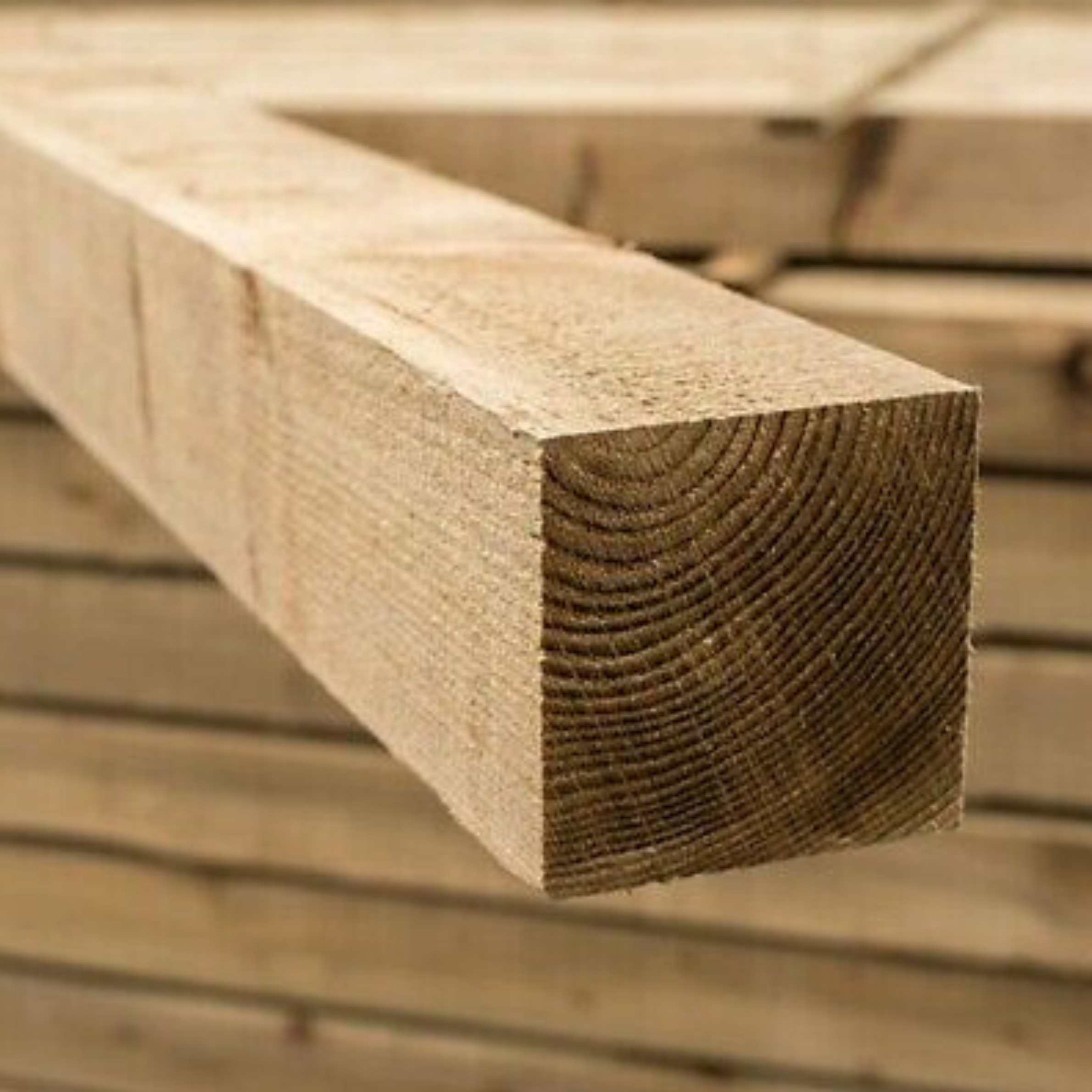 100 x 100 Fence Posts