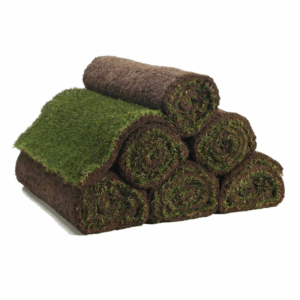Turf